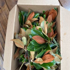 Weddings & Events Real Magnolia Leaves party decor, fall leaves magnolia leaves